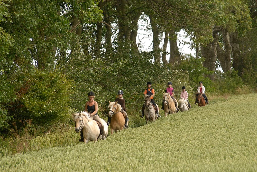 camping-ostsee-katharienhof_reiten