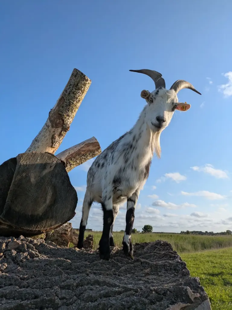 flueggerteich_4_komprimiert