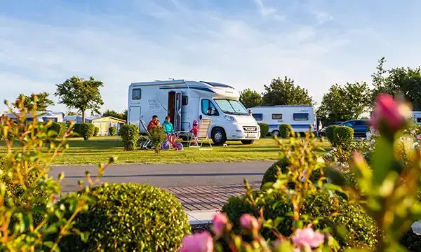 strandcamping-fehmarn-rosenhecke